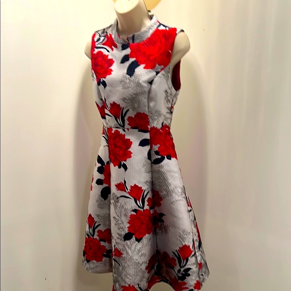 Beautiful Floral Sleeveless Dress -Pic does not do it justice!